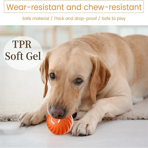 Interactive Pet Play Ball